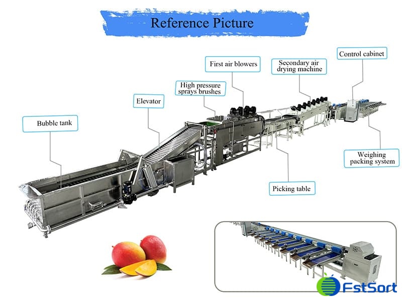 images/1697444713684mango grading machine.jpg